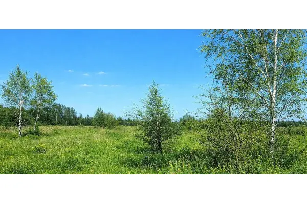 kołobrzeski, Siemyśl, Stary Borek, Spacerowa, Działki Budowlane 3km do morza.
