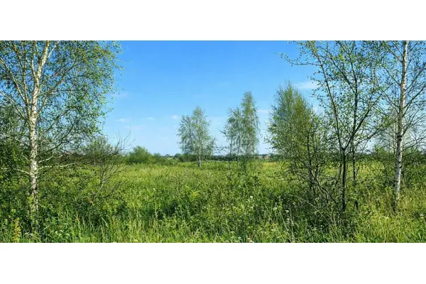 kołobrzeski, Siemyśl, Stary Borek, Spacerowa, Działki Budowlane 3km do morza.