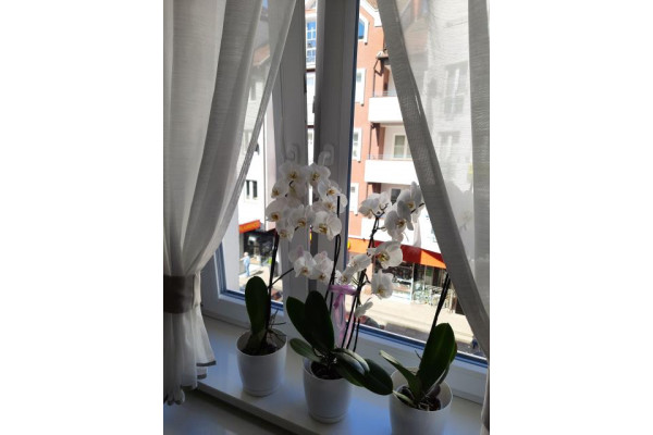 kołobrzeski, Kołobrzeg, Giełdowa, Atrakcyjne,dwupokojowe mieszkanie, ścisłe centrum