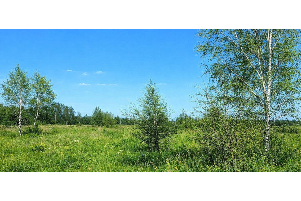 kołobrzeski, Siemyśl, Stary Borek, Spacerowa, Dwie działki Budowlane 3km do morza.