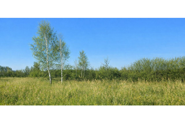 kołobrzeski, Siemyśl, Stary Borek, Spacerowa, Dwie działki Budowlane 3km do morza.